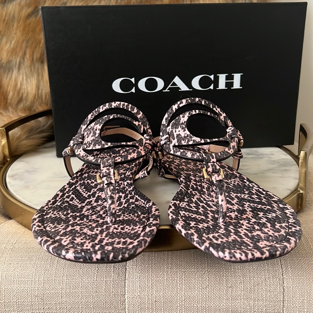 Coach Jeri Print Sandal